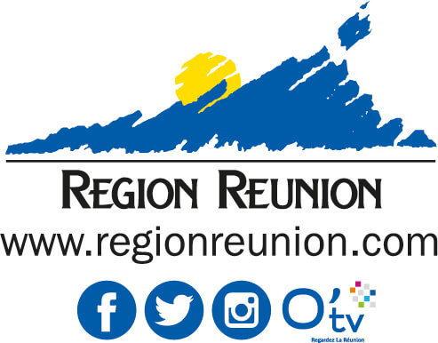 Logo Région Réunion - Kap numérik